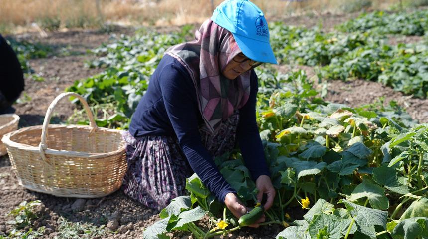 T&uuml;rkiye'nin yeşil altını: 45 &ccedil;eşidiyle d&uuml;nya lezzetleri arasında