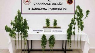 Çanakkale’de 3 ilçede uyuşturucu operasyonu