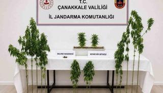 &Ccedil;anakkale&rsquo;de 3 il&ccedil;ede uyuşturucu operasyonu