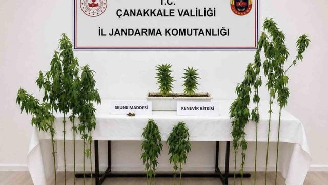 Çanakkale’de 3 ilçede uyuşturucu operasyonu