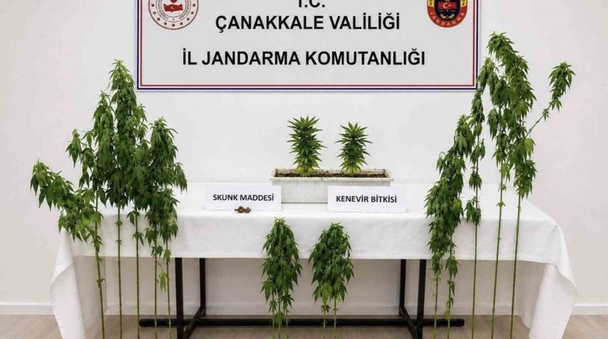 &Ccedil;anakkale&rsquo;de 3 il&ccedil;ede uyuşturucu operasyonu