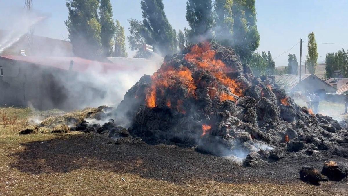 Kars’ta bin ot balyası kül oldu - Mynet Yaşam