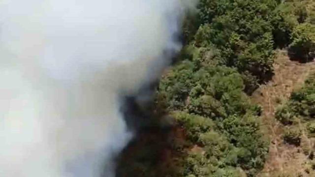 Bursa’da bir orman yangını daha