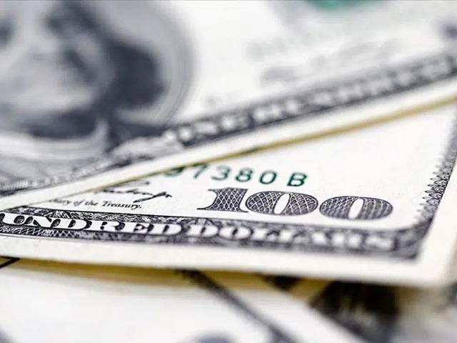 Finansal kesim dışındaki firmaların net d&ouml;viz a&ccedil;ığı haziranda arttı