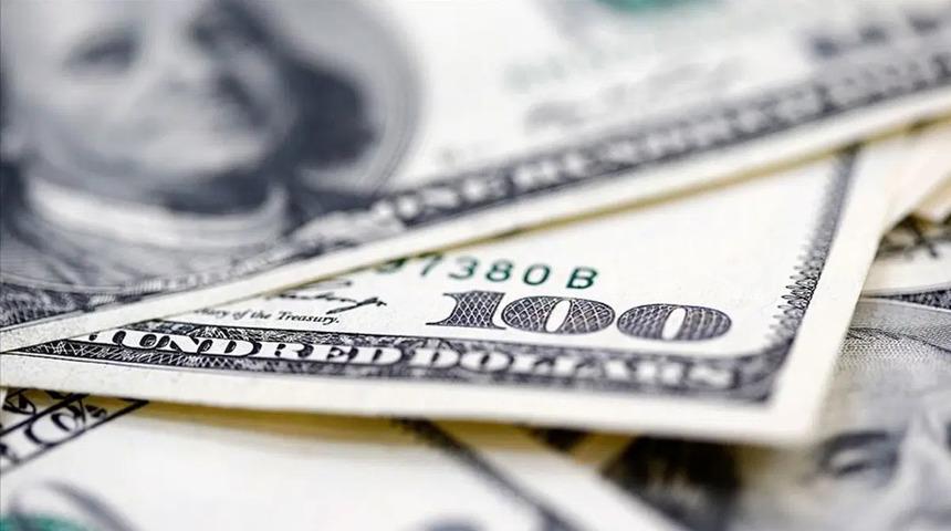 Finansal kesim dışındaki firmaların net d&ouml;viz a&ccedil;ığı haziranda arttı
