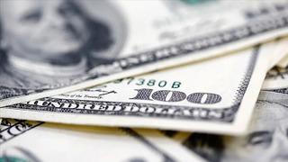 Finansal kesim dışındaki firmaların net döviz açığı haziranda arttı