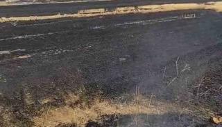 Anız ateşi kontrelden &ccedil;ıktı, bin d&ouml;n&uuml;m otluk alan yandı