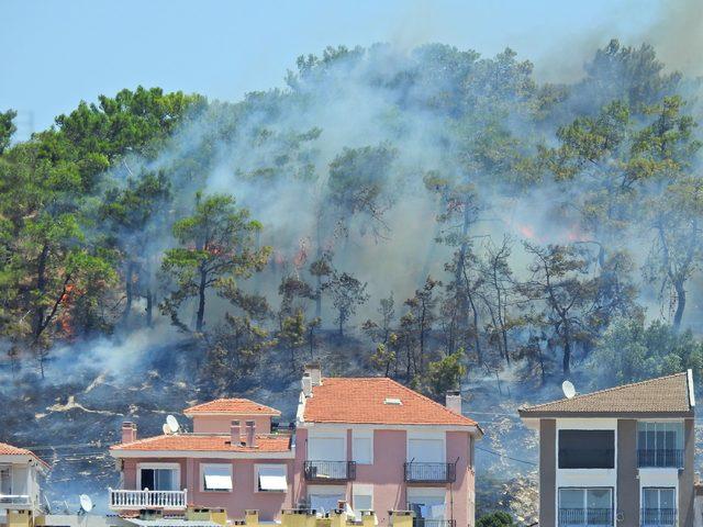 Çeşme'de korulukta yangın; 30 ağaç zarar gördü
