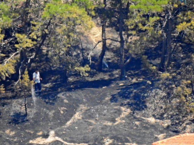 Çeşme'de korulukta yangın; 30 ağaç zarar gördü