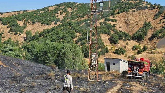 Bing&ouml;l&rsquo;de kırsal alanda &ccedil;ıkan yangın s&ouml;nd&uuml;r&uuml;ld&uuml; 1