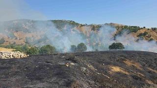 Bingöl’de kırsal alanda çıkan yangın söndürüldü