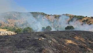 Bing&ouml;l&rsquo;de kırsal alanda &ccedil;ıkan yangın s&ouml;nd&uuml;r&uuml;ld&uuml;
