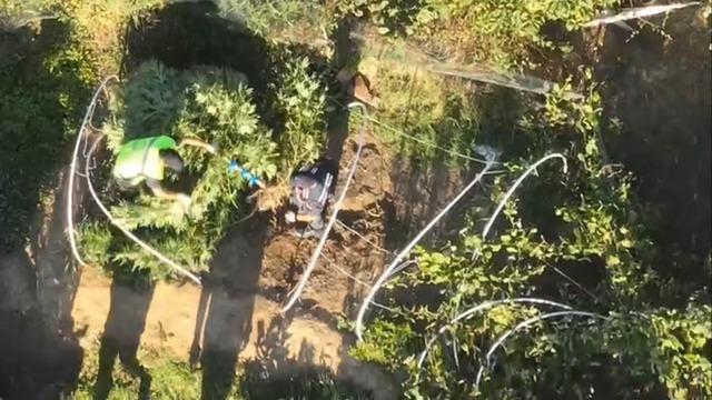 Sakarya da uyuşturucu ve kaçakçılık operasyonu: 2 tutuklama 3