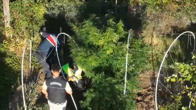 Sakarya da uyuşturucu ve kaçakçılık operasyonu: 2 tutuklama 2