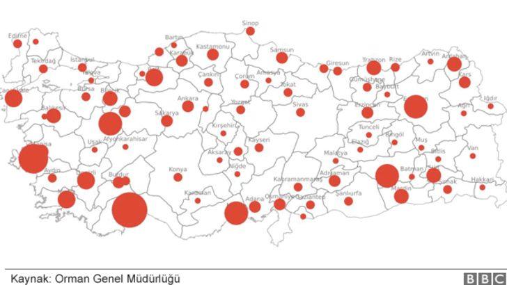 Türkiye'nin orman yangınları haritası