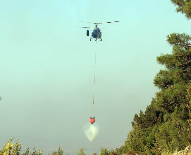Gaziantep'te çam ormanı yangını