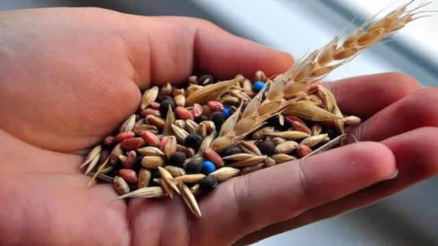 Türk tohumculuğu Asya ile Avrupa arasında büyüyor