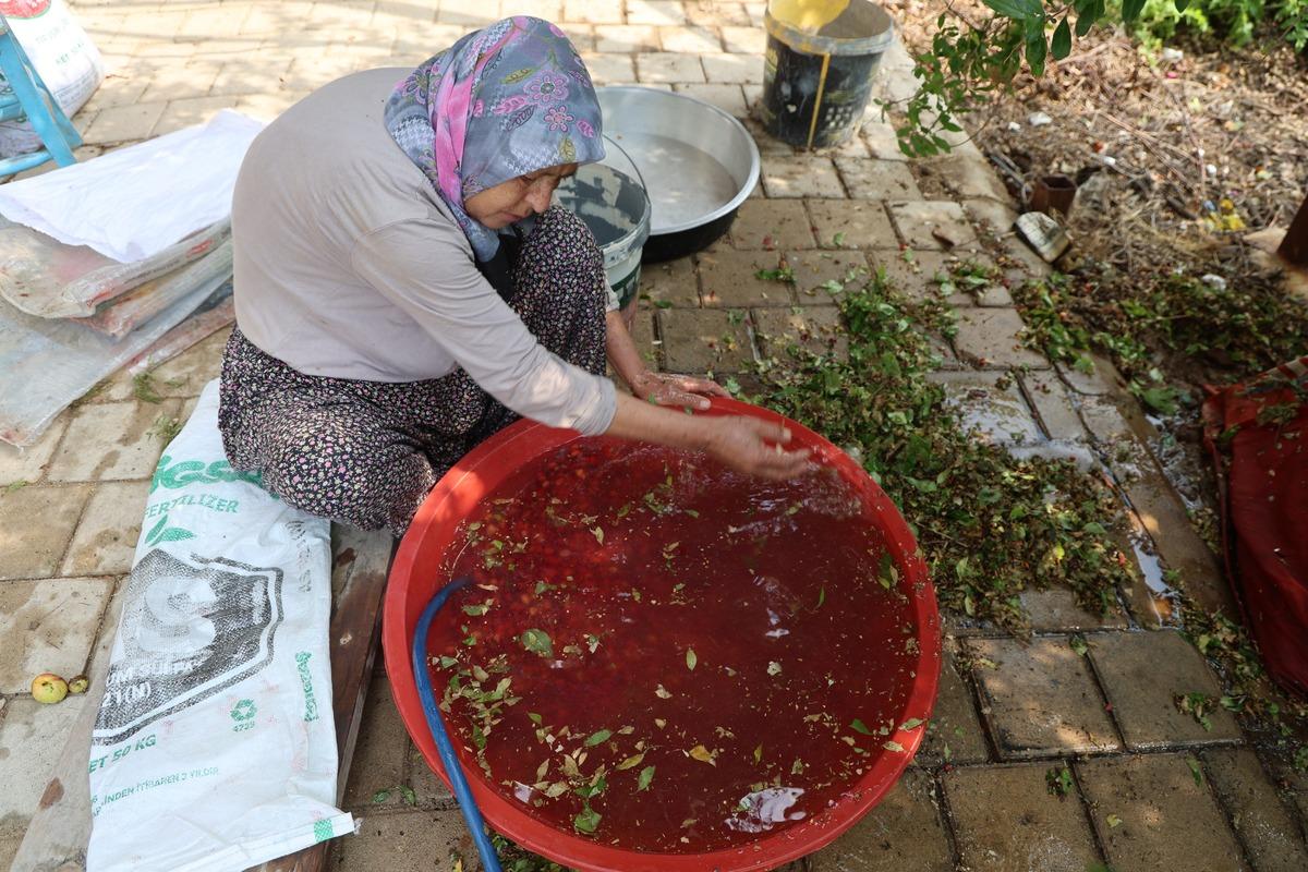 Dalında 100 TL, kara kazana girince 1000 TL! 130 kilosundan sadece 15 litre çıkıyor 2