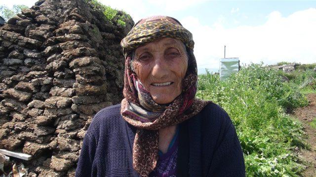 80 yaşındaki Nuriye Nine, tırpan sallıyor