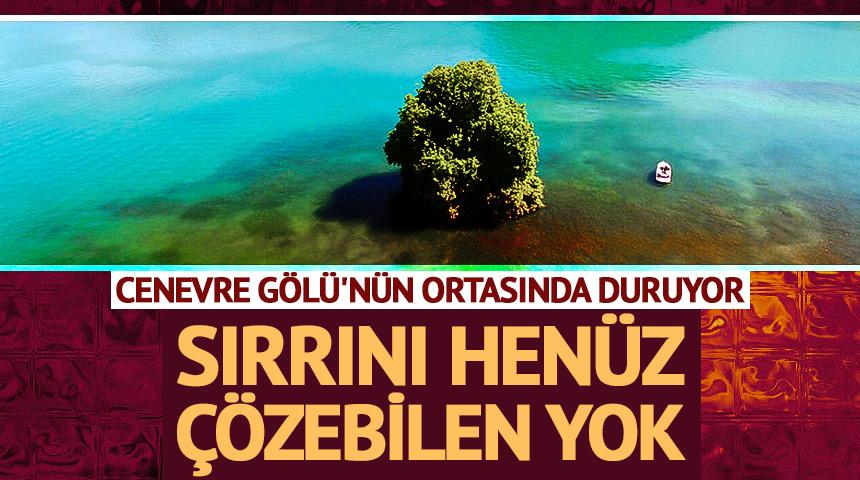 Cenevre G&ouml;l&uuml;'n&uuml;n ortasında duruyor: Sırrını &ccedil;&ouml;zebilen yok