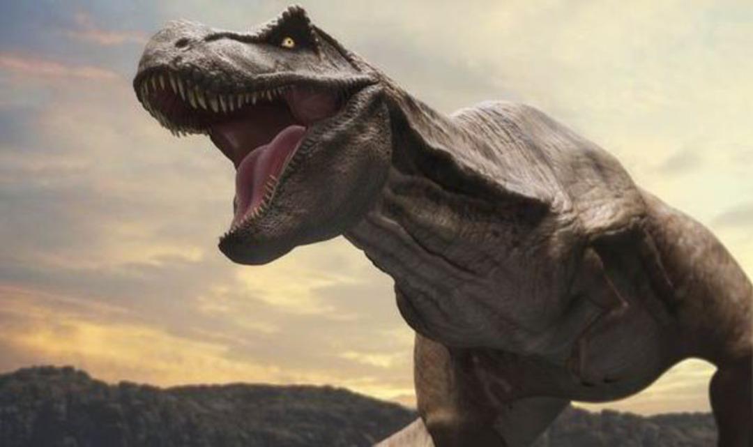 T-rex'in kuzeni bulundu! Moğolistan'da şaşırtan keşif