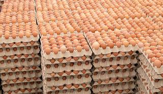 Salmonella alarmı! Yumurtaları t&uuml;keten 306 kişi hastalandı