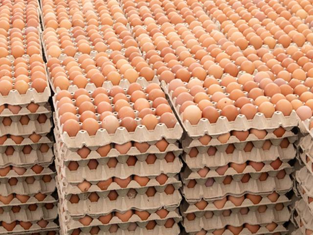 Salmonella alarmı! Yumurtaları t&uuml;keten 306 kişi hastalandı