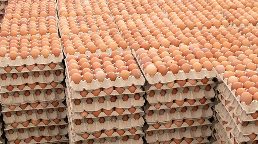 O &uuml;lkede 'salmonella' alarmı! Yumurtaları t&uuml;keten 306 kişi hastalandı