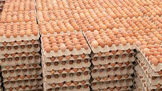 O ülkede 'salmonella' alarmı! Yumurtaları tüketen 306 kişi hastalandı