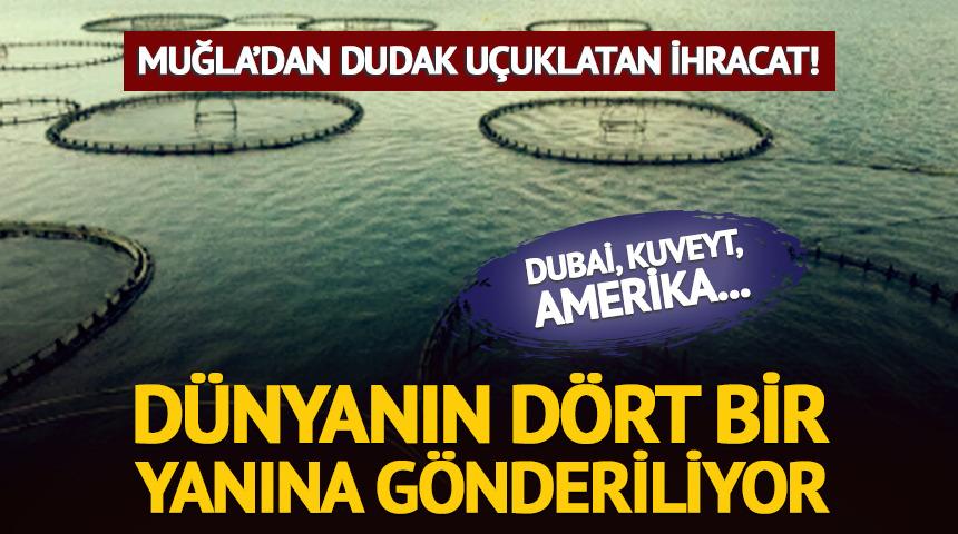 Muğla&rsquo;dan 55 milyon avroluk ihracat! Yavru balıklar d&uuml;nyaya a&ccedil;ılıyor