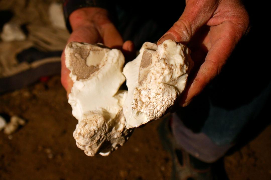 'Beyaz altın'a ulaşmak i&ccedil;in iğneyle maden kazıyorlar