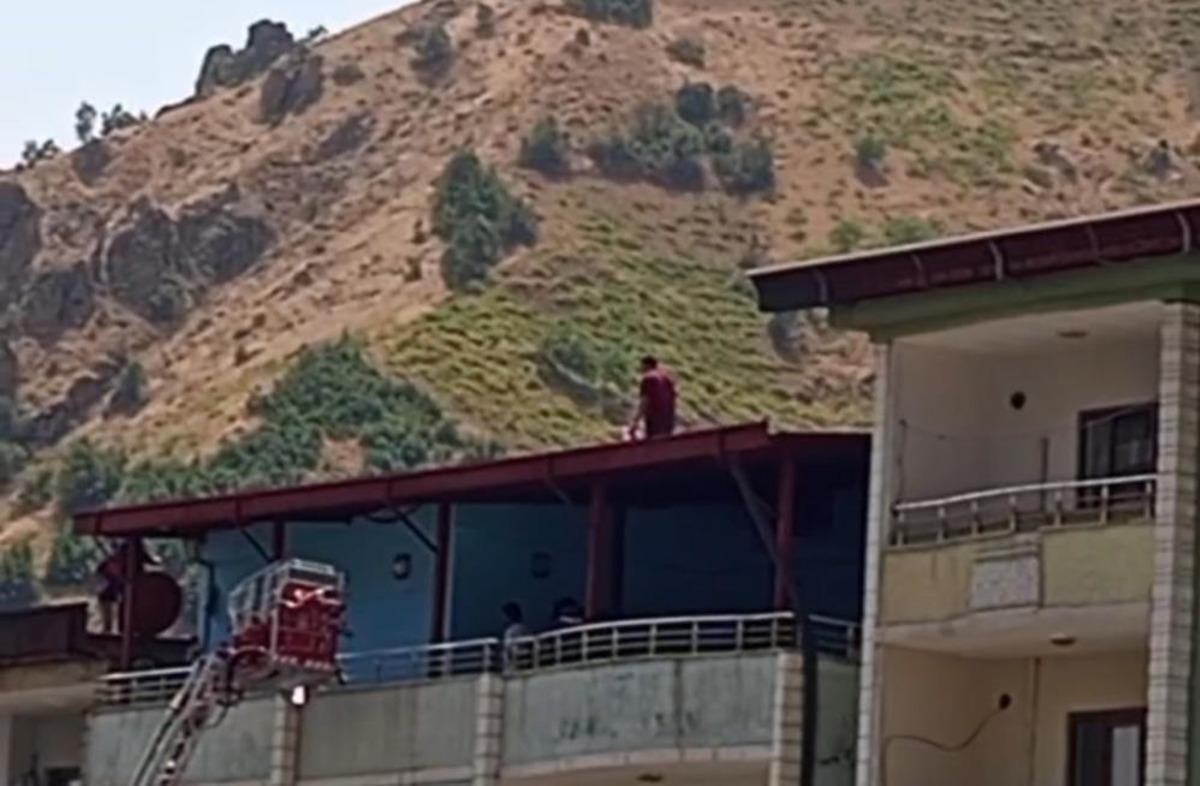 Şehir şehir dolaşıp intihar etmek istiyor! 242 kez denedi 3