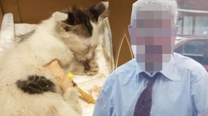 Yavru kediye tecav&uuml;zde istenen ceza belli oldu