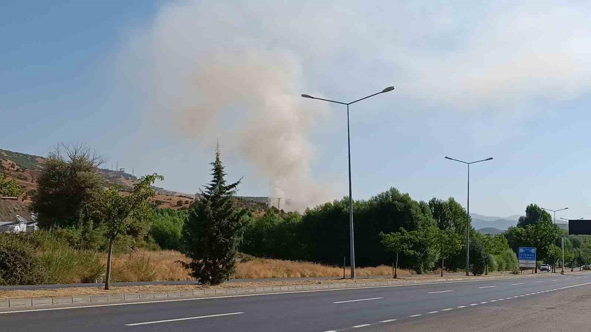 Bingöl’de otluk alanda çıkan yangın büyümeden söndürüldü - Güncel Haberler