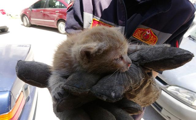 Park halindeki aracın motorunda sıkışan kedi kurtarıldı