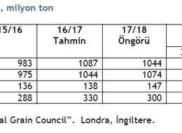 IGC: Küresel mısır üretimi geçen sezondan 9 milyon ton fazla olacak