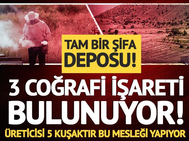 3 coğrafi işareti bulunuyor! Tam bir şifa deposu