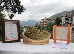 Amasya, iki ürününe coğrafi işaret tescil belgesi aldı