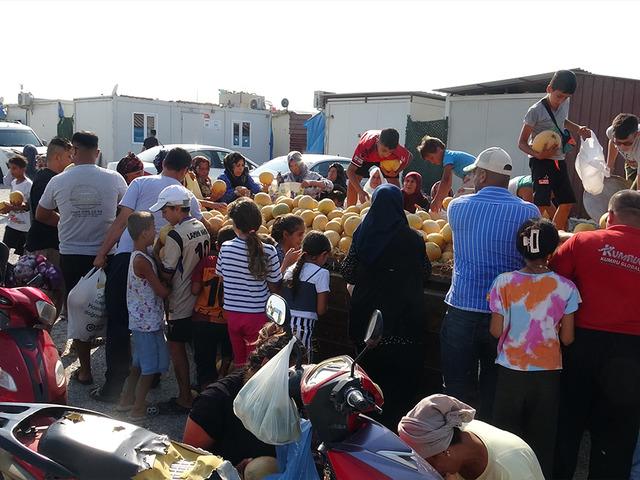 Tanesini 5 TL'ye satmak istemedi: 50 tonu bedava dağıtıyor