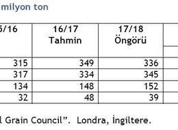 IGC: Küresel soya üretimi bu yıl 21 milyon ton daha fazla olacak