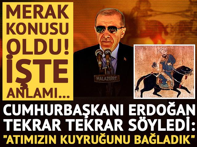 Cumhurbaşkanı Erdoğan tekrar tekrar s&ouml;yledi! Atın kuyruğunu bağlama geleneği merak konusu oldu: İşte anlamı...