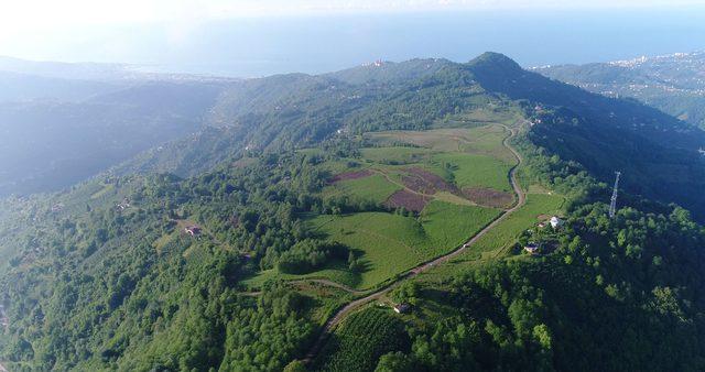 Trabzon'da dağın zirvesine OSB kurulacak