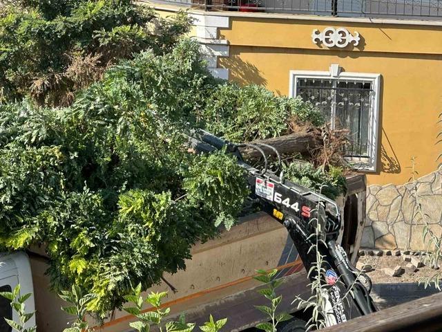 Sındırgı&rsquo;da yol yapım &ccedil;alışmaları sırasında ağa&ccedil;lar s&ouml;k&uuml;ld&uuml; 1