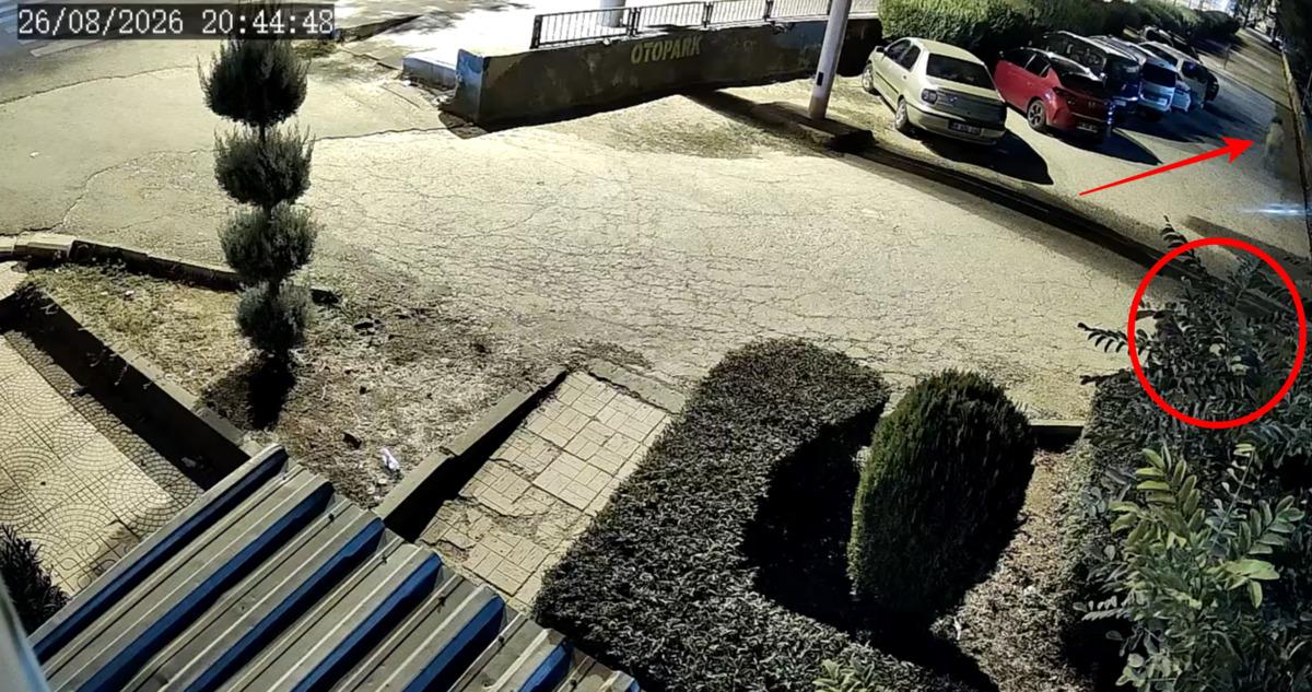 Kucağında &ccedil;ocuk varken katletti! Diyarbakır daki kahreden kadın cinayeti kamerada 2