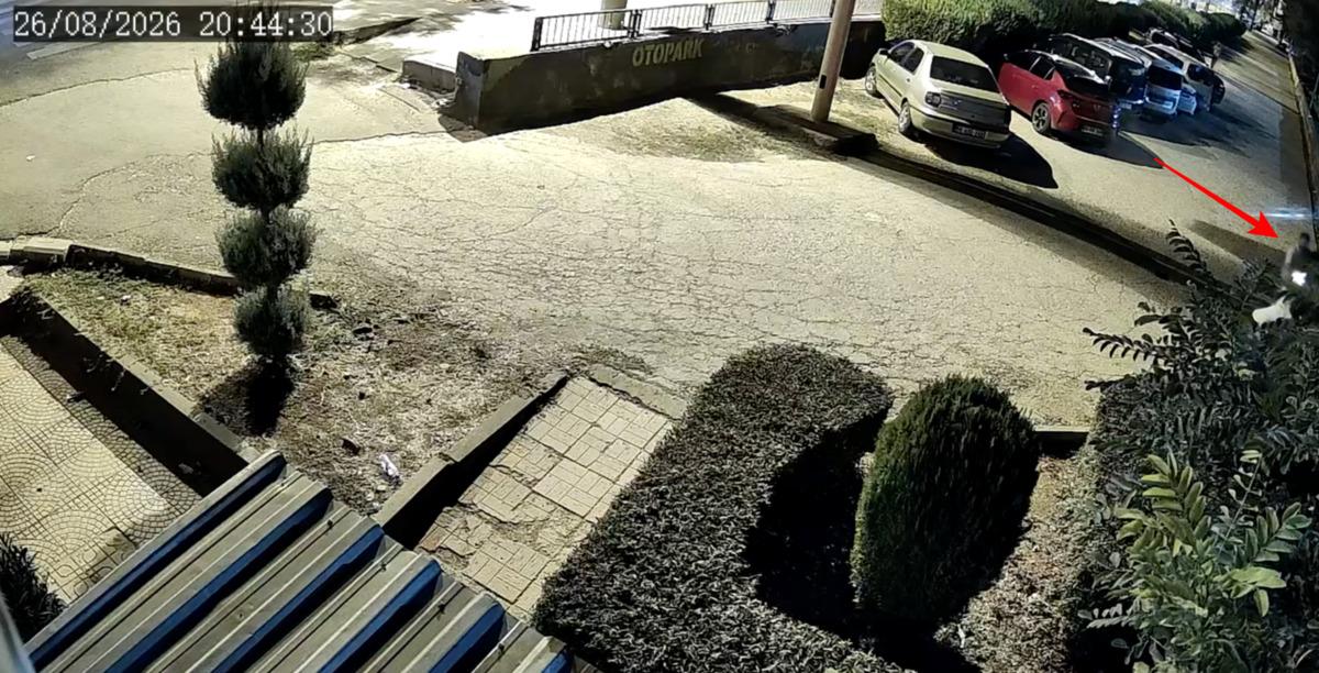 Kucağında &ccedil;ocuk varken katletti! Diyarbakır daki kahreden kadın cinayeti kamerada 7