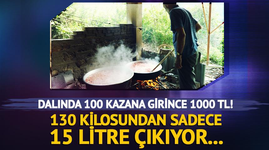 Dalında 100 TL, kara kazana girince 1000 TL! 130 kilosundan sadece 15 litre &ccedil;ıkıyor