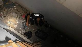 Hatay&rsquo;da mahsur kalan hayvanlar kurtarıldı