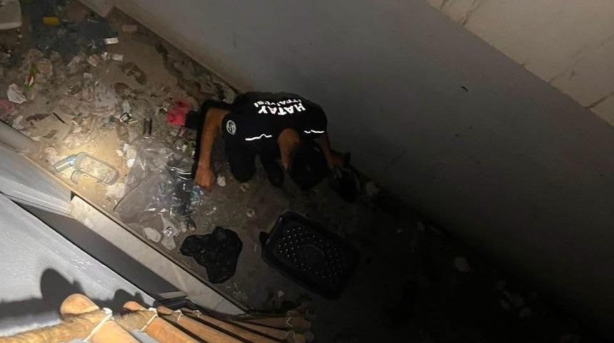 Hatay&rsquo;da mahsur kalan hayvanlar kurtarıldı