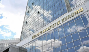 T&Uuml;İK a&ccedil;ıkladı: Girişimlerde ve istihdamda o sekt&ouml;r &ouml;ne &ccedil;ıktı