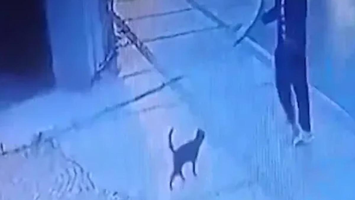 Kapalı gruplarda korkun&ccedil; g&ouml;r&uuml;nt&uuml;ler! Yeni nesil vahşetin adı:  Crush Fetish  2